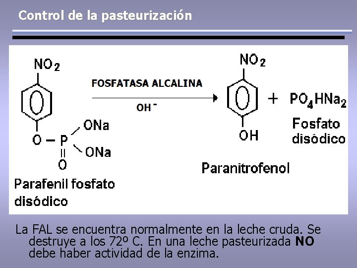 Control de la pasteurización La FAL se encuentra normalmente en la leche cruda. Se