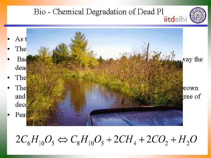 Bio - Chemical Degradation of Dead Plants • As the plants died and fell