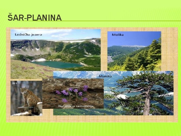 ŠAR-PLANINA 