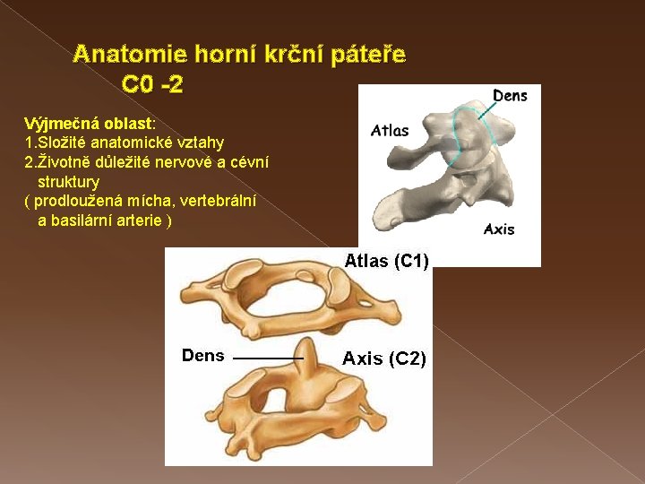 Anatomie horní krční páteře C 0 -2 Výjmečná oblast: 1. Složité anatomické vztahy 2.