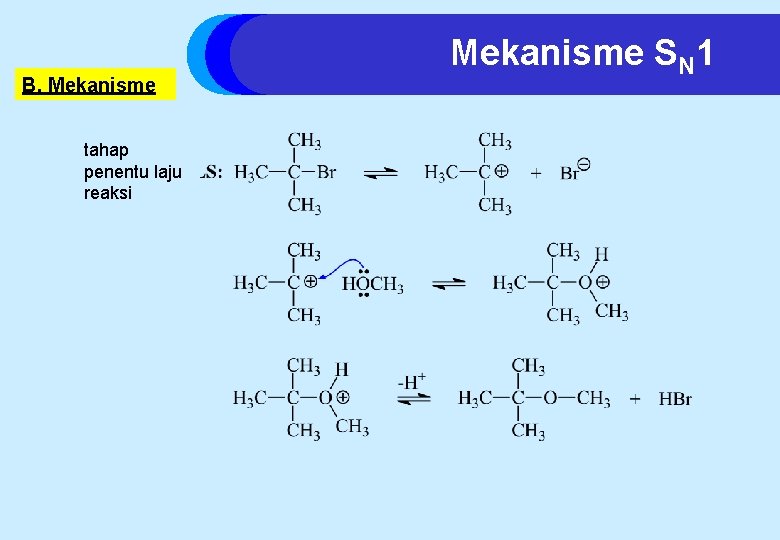 B. Mekanisme tahap penentu laju reaksi Mekanisme SN 1 