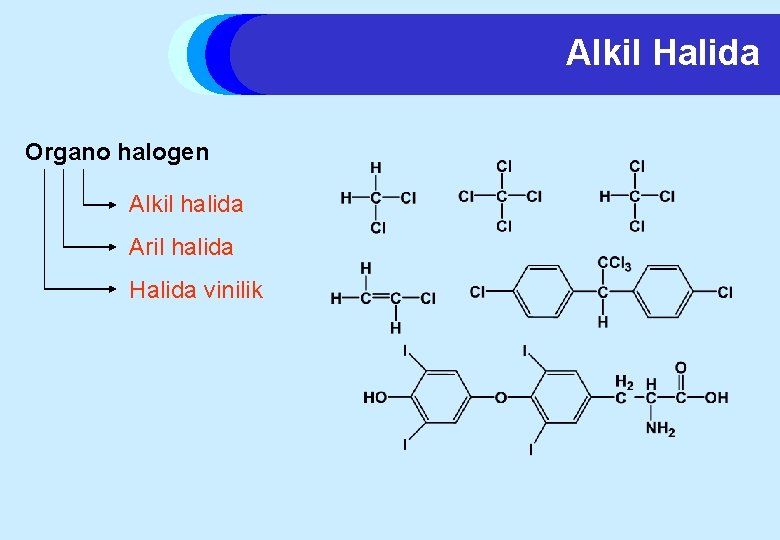 Alkil Halida Organo halogen Alkil halida Aril halida Halida vinilik 