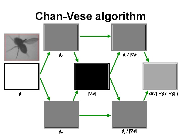 Chan-Vese algorithm fx / | f| fx | f| f fy div( f /