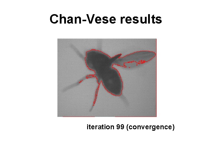 Chan-Vese results iteration 99 0 (convergence) 1 2 3 4 5 6 7 8