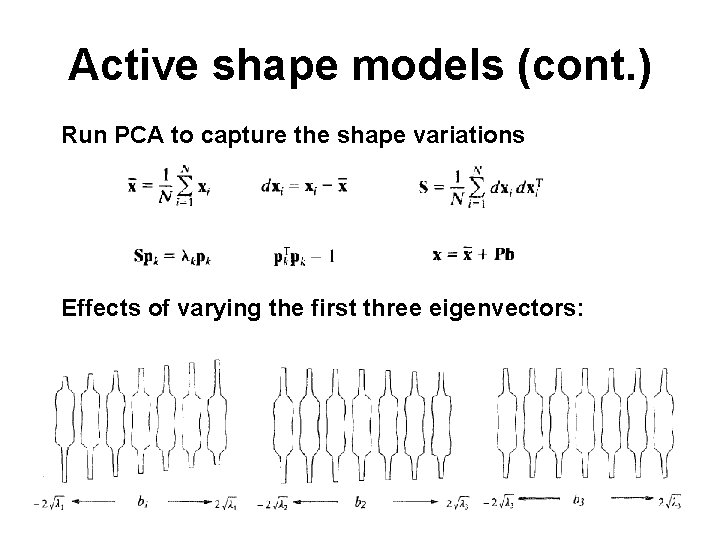 Active shape models (cont. ) Run PCA to capture the shape variations Effects of