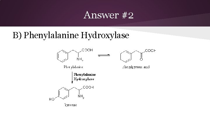 Answer #2 B) Phenylalanine Hydroxylase 