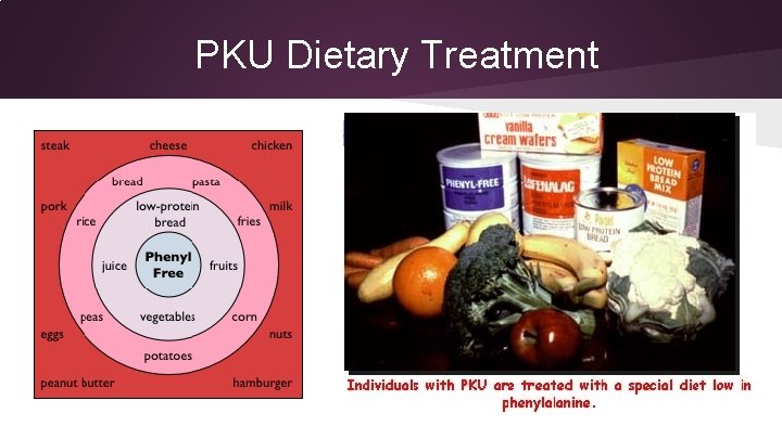 PKU Dietary Treatment 