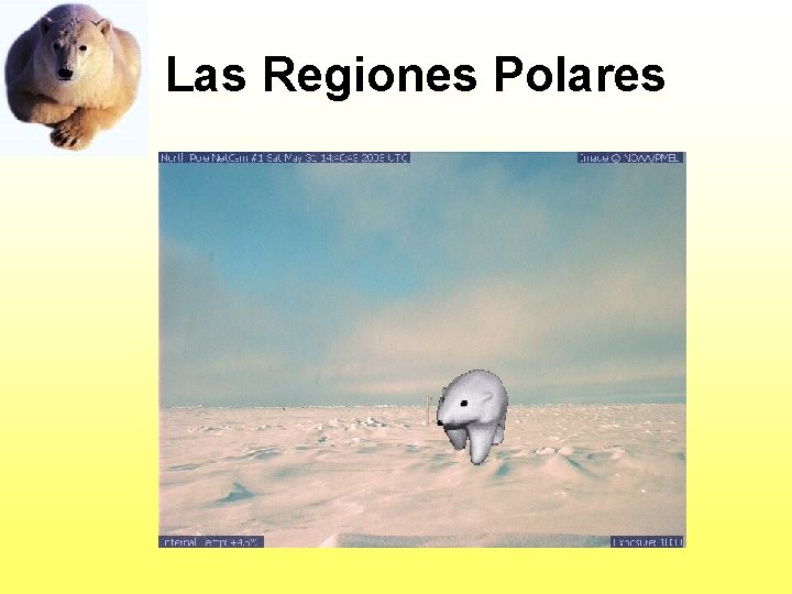 Las Regiones Polares 