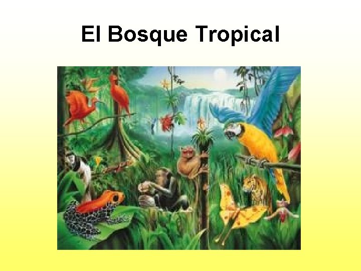 El Bosque Tropical 