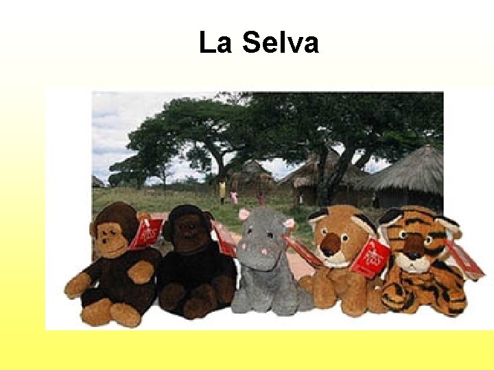 La Selva 