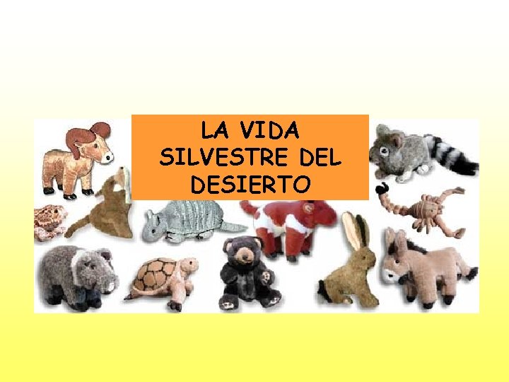 LA VIDA SILVESTRE DEL DESIERTO 