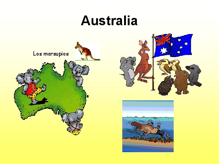 Australia Los marsupios 