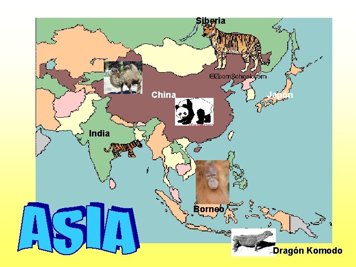 Siberia China Japón India Borneo Dragón Komodo 