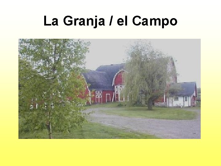 La Granja / el Campo 
