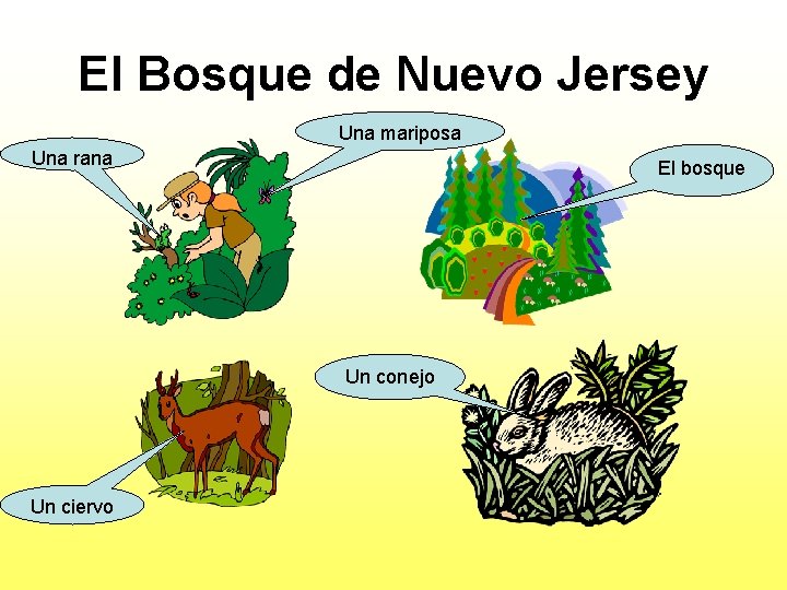 El Bosque de Nuevo Jersey Una mariposa Una rana El bosque Un conejo Un