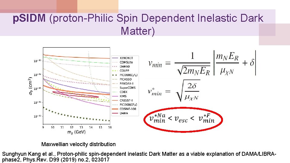 p. SIDM (proton-Philic Spin Dependent Inelastic Dark Matter) Maxwellian velocity distribution Sunghyun Kang et