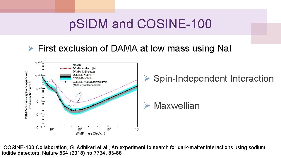p. SIDM and COSINE-100 Ø First exclusion of DAMA at low mass using Na.