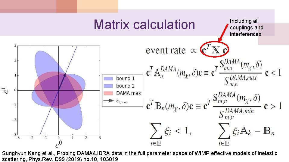 Matrix calculation Including all couplings and interferences Sunghyun Kang et al. , Probing DAMA/LIBRA