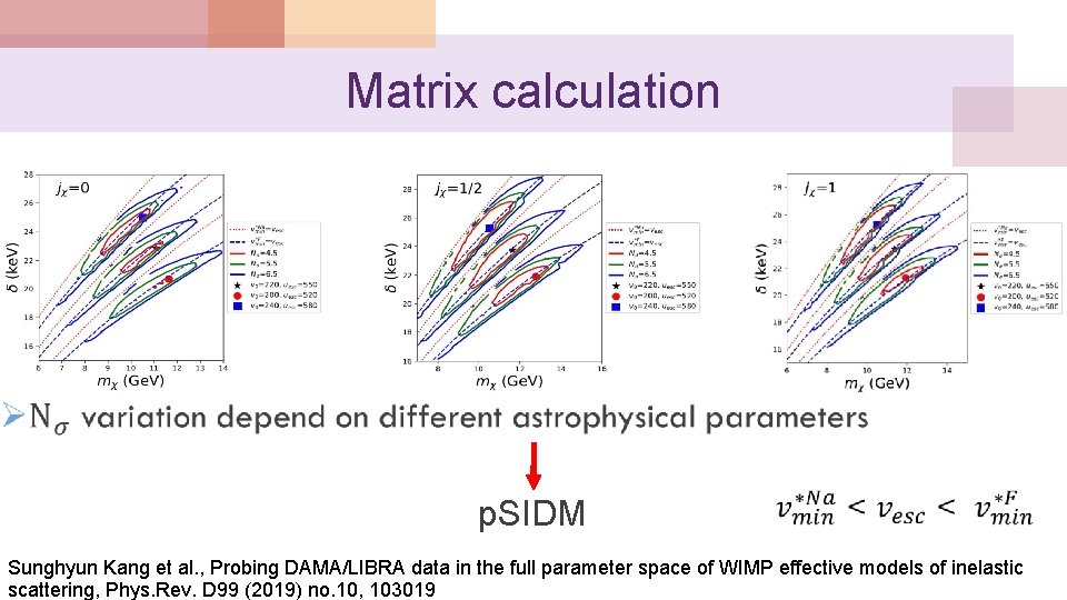 Matrix calculation p. SIDM Sunghyun Kang et al. , Probing DAMA/LIBRA data in the