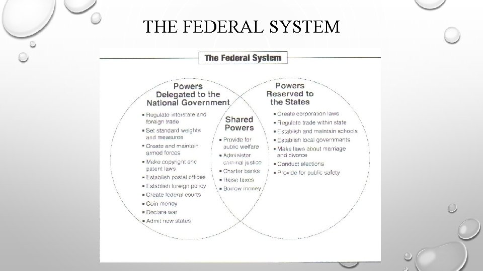 THE FEDERAL SYSTEM 