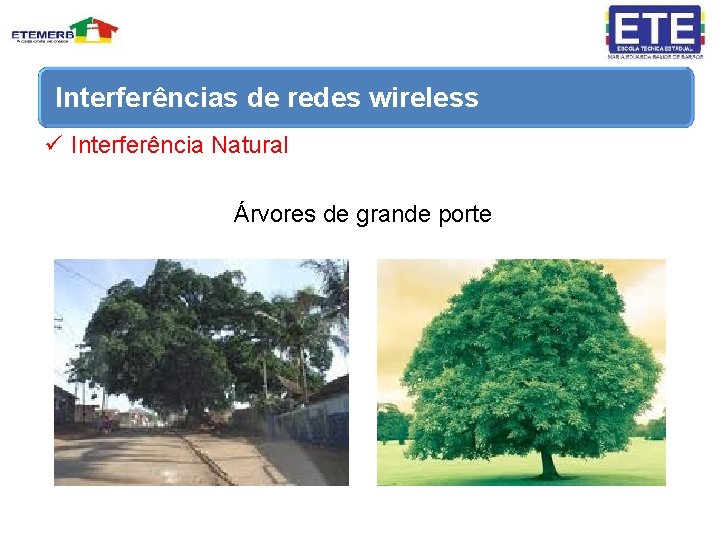 Interferências de redes wireless ü Interferência Natural Árvores de grande porte 