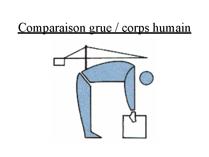 Comparaison grue / corps humain 