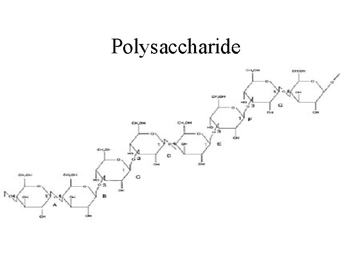Polysaccharide 