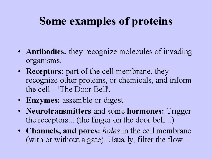 Some examples of proteins • Antibodies: they recognize molecules of invading organisms. • Receptors: