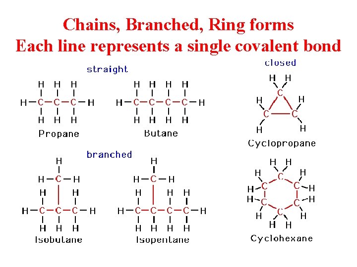 Chains, Branched, Ring forms Each line represents a single covalent bond 