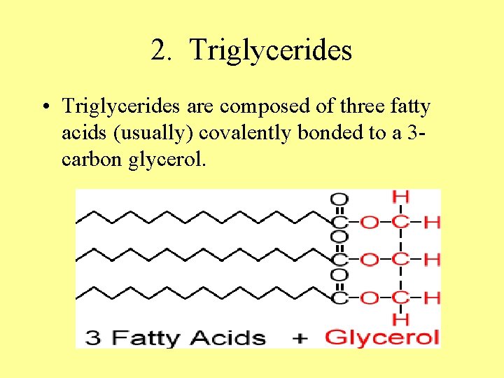 2. Triglycerides • Triglycerides are composed of three fatty acids (usually) covalently bonded to