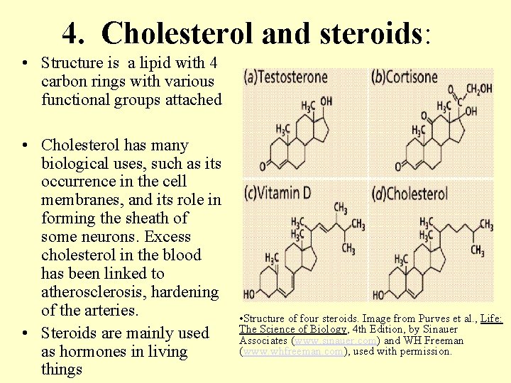 4. Cholesterol and steroids: • Structure is a lipid with 4 carbon rings with