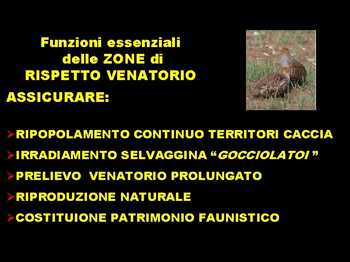 Funzioni essenziali delle ZONE di RISPETTO VENATORIO ASSICURARE: ØRIPOPOLAMENTO CONTINUO TERRITORI CACCIA ØIRRADIAMENTO SELVAGGINA