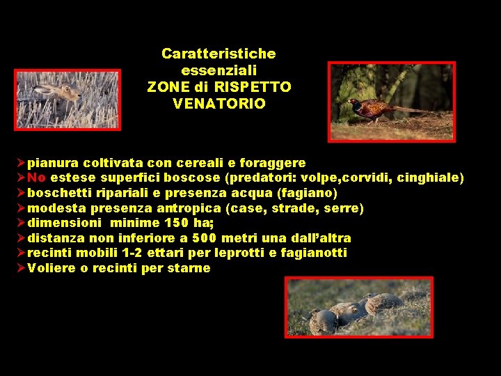 Caratteristiche essenziali ZONE di RISPETTO VENATORIO Øpianura coltivata con cereali e foraggere ØNo estese