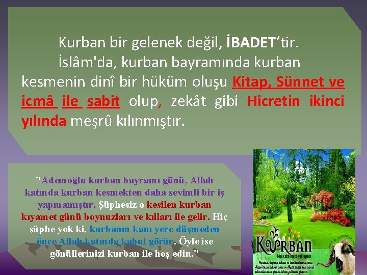 Kurban bir gelenek değil, İBADET’tir. İslâm'da, kurban bayramında kurban kesmenin dinî bir hüküm oluşu