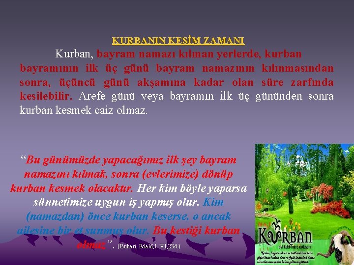 KURBANIN KESİM ZAMANI Kurban, bayram namazı kılınan yerlerde, kurban bayramının ilk üç günü bayram