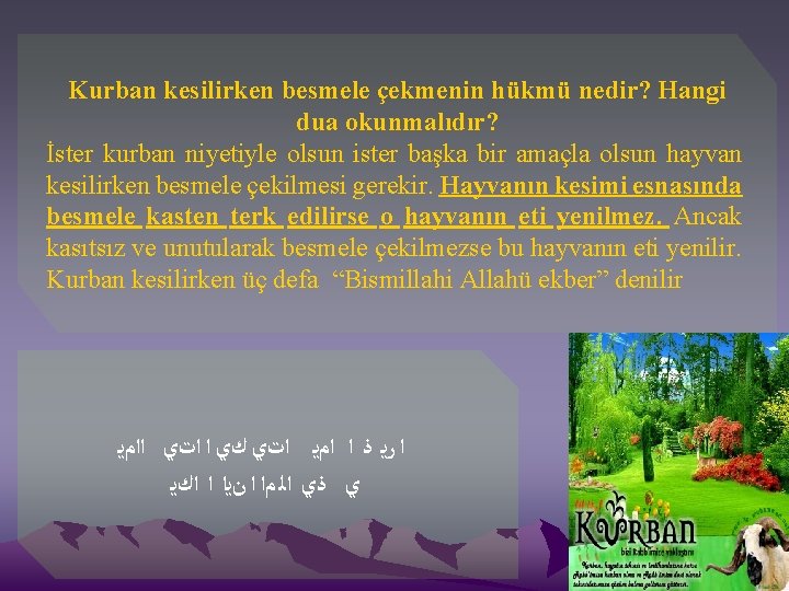 Kurban kesilirken besmele çekmenin hükmü nedir? Hangi dua okunmalıdır? İster kurban niyetiyle olsun ister