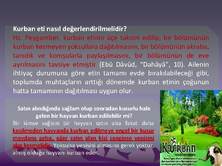 Kurban eti nasıl değerlendirilmelidir? Hz. Peygamber, kurban etinin üçe taksim edilip, bir bölümünün kurban