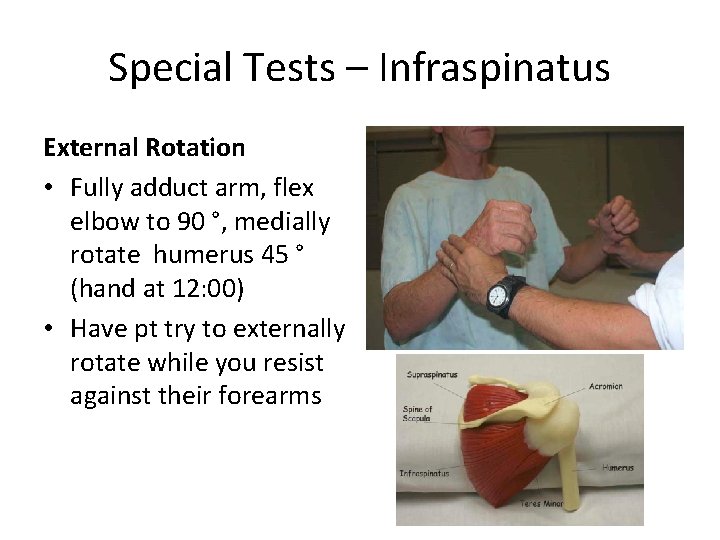 Special Tests – Infraspinatus External Rotation • Fully adduct arm, flex elbow to 90