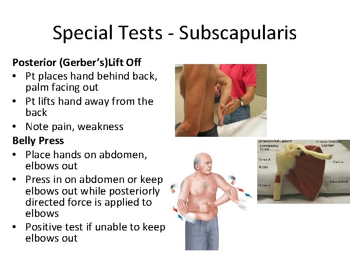 Special Tests - Subscapularis Posterior (Gerber’s)Lift Off • Pt places hand behind back, palm