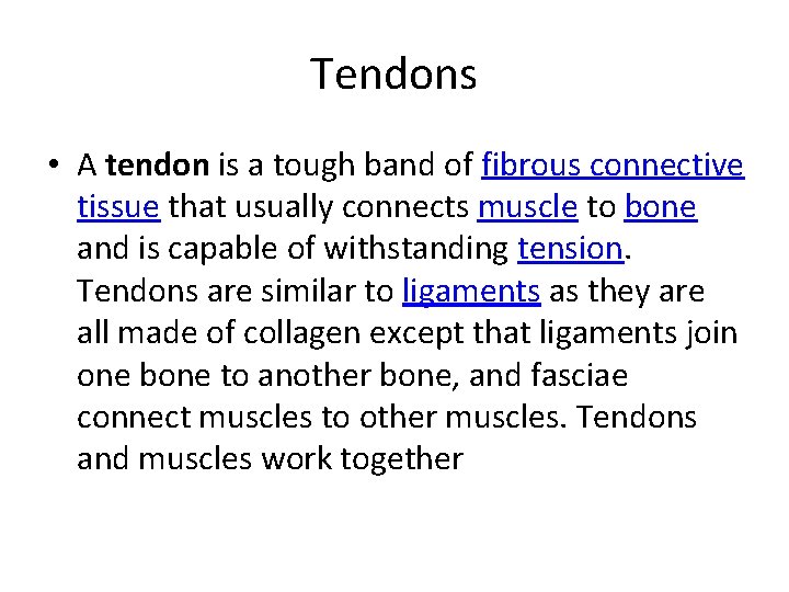 Tendons • A tendon is a tough band of fibrous connective tissue that usually