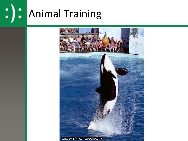 Animal Training 