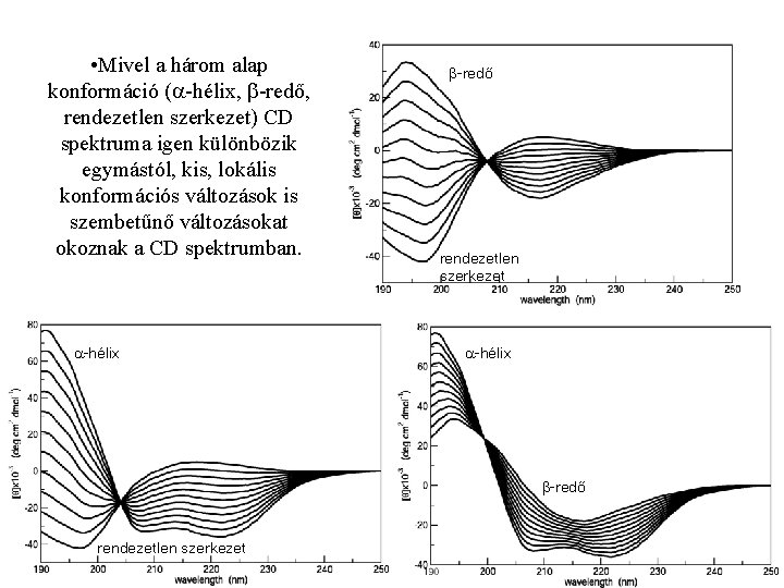  • Mivel a három alap konformáció ( -hélix, -redő, rendezetlen szerkezet) CD spektruma