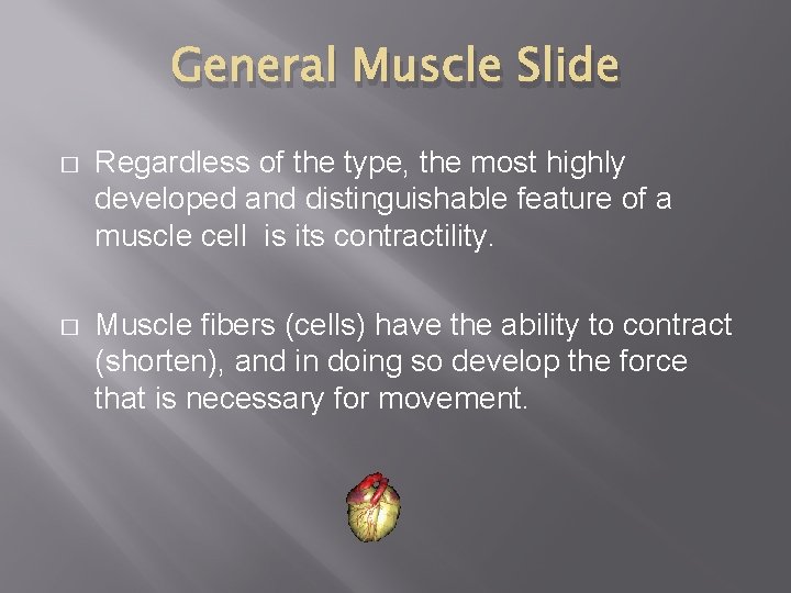 General Muscle Slide � Regardless of the type, the most highly developed and distinguishable