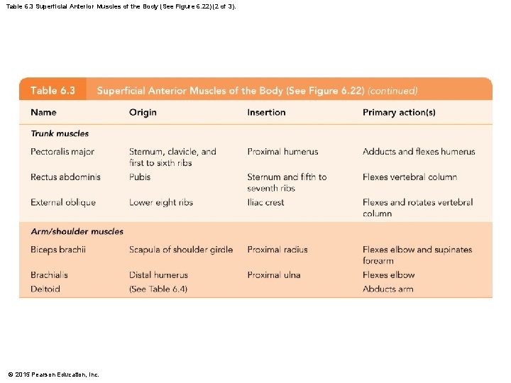 Table 6. 3 Superficial Anterior Muscles of the Body (See Figure 6. 22) (2