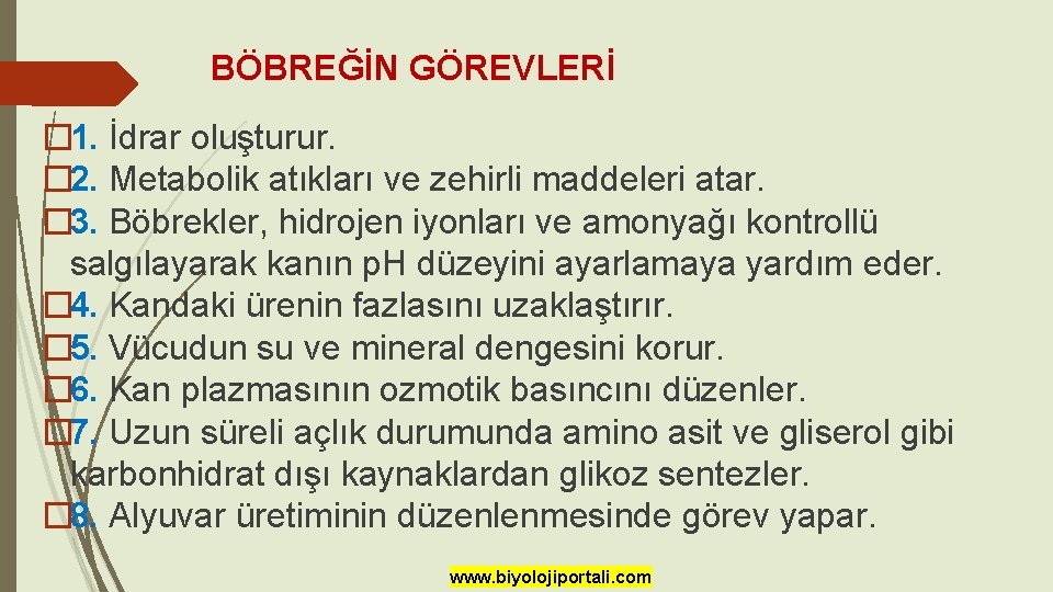 BÖBREĞİN GÖREVLERİ � 1. İdrar oluşturur. � 2. Metabolik atıkları ve zehirli maddeleri atar.