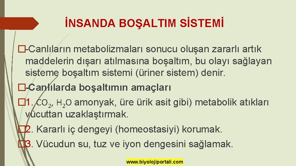 İNSANDA BOŞALTIM SİSTEMİ �-Canlıların metabolizmaları sonucu oluşan zararlı artık maddelerin dışarı atılmasına boşaltım, bu