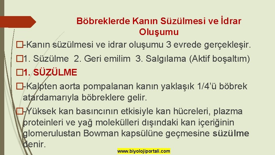 Böbreklerde Kanın Süzülmesi ve İdrar Oluşumu �-Kanın süzülmesi ve idrar oluşumu 3 evrede gerçekleşir.