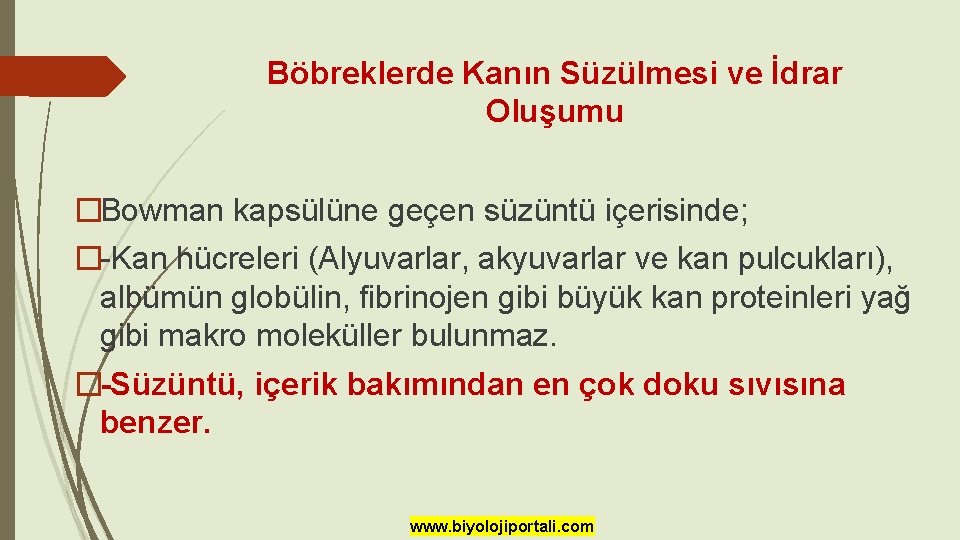 Böbreklerde Kanın Süzülmesi ve İdrar Oluşumu �Bowman kapsülüne geçen süzüntü içerisinde; �-Kan hücreleri (Alyuvarlar,