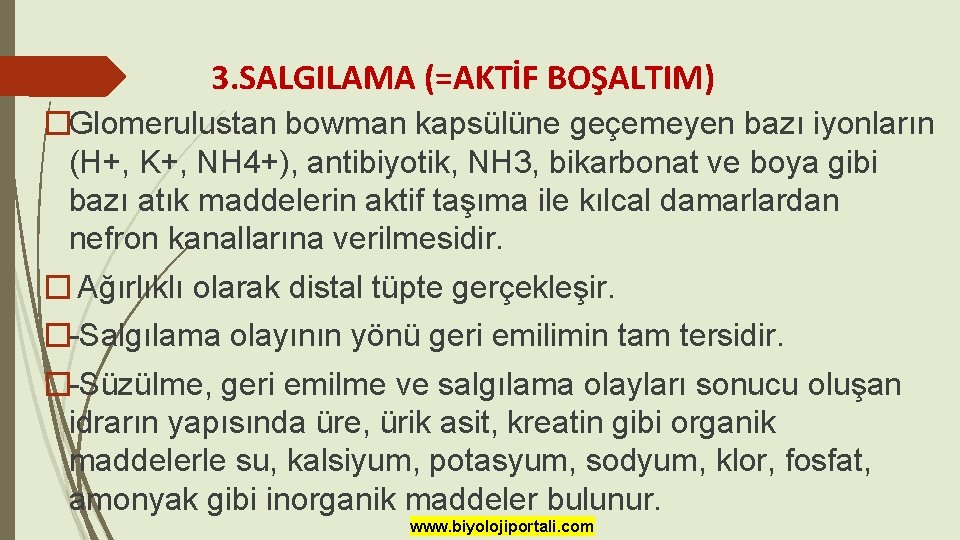 3. SALGILAMA (=AKTİF BOŞALTIM) �Glomerulustan bowman kapsülüne geçemeyen bazı iyonların (H+, K+, NH 4+),