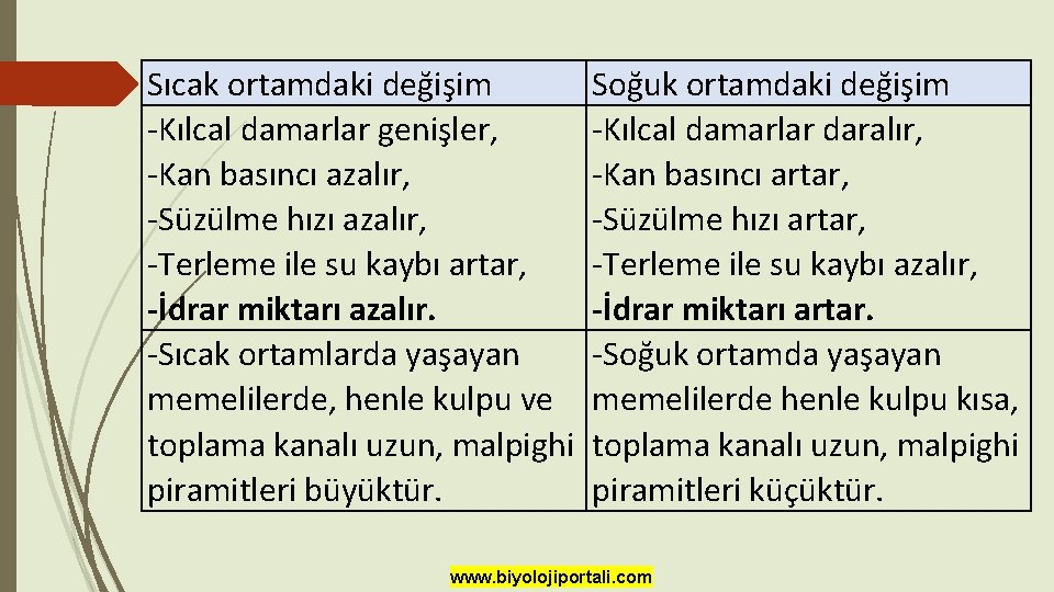 Sıcak ortamdaki değişim -Kılcal damarlar genişler, -Kan basıncı azalır, -Süzülme hızı azalır, -Terleme ile